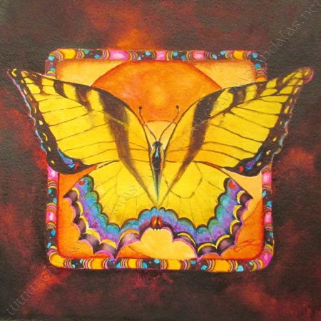 Busy Butterfly